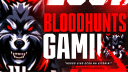 BloodHυɴ丅ѕ Gaming banner