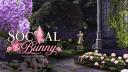 The Sims 4 • Social Bunny • Community Server by Sarah Simmer xo Banner