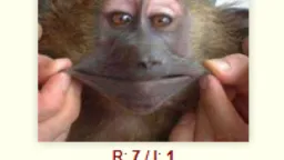 Seinfeld server banner