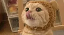 BSF Cats Cafe | Envie ! Socials • Emojis • Roblox banner