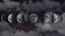 P̶h̶a̶s̶e̶d̶.²¹⁺ banner