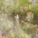 ★︶ The Little Coven ⋆ server banner