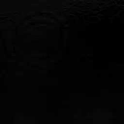 Rise Studios 🎨 banner
