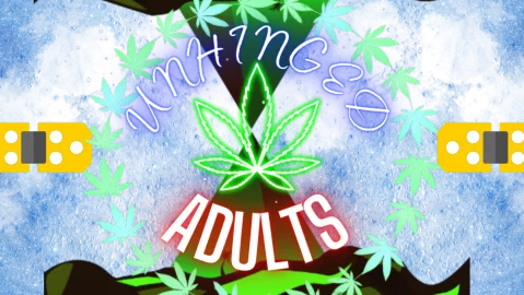 Unhinged Adults banner
