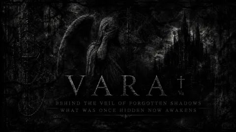 vara banner