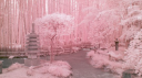 rainedrops ˚ʚ♡ɞ˚ server banner
