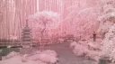 rainedrops ˚ʚ♡ɞ˚ Discord server banner