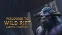 Wild Rift CZ/SK banner