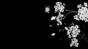vivid server banner