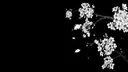 vivid Discord server banner