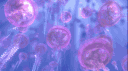 /Starving 🎃 banner