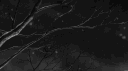 /thrills server banner