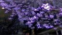 📈 Сᴇᴘвᴀк для всᴇго лучшᴇго Discord server banner