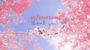 Blossoms Cafe | .gg/blossoms banner