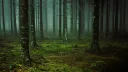 MirrORG S5: Narcissus banner