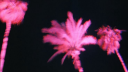 ໒   🌸   /cérise   ㆍ  𝘴ocial ﹒  𝒽angout ﹒ 𝚜emi-tox server banner