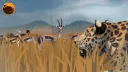 Wild Savanna Official Server banner