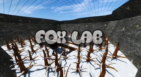 FOX LAB banner