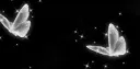 ⋆˚。⋆୨✧୧˚ Discord server banner