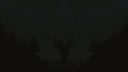 2F2 banner