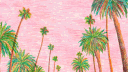 𝗧𝗛𝗘 𝗣𝗔𝗟𝗠 𝗠𝗔𝗥𝗞𝗘𝗧 banner
