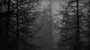 Incendiary™ Discord server banner