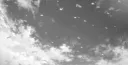 Safe Haven 💫 Discord server banner