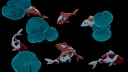 tisiay 2 banner