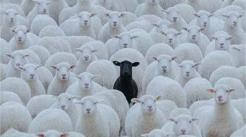 kader mahkumları 📿 banner