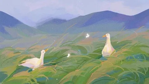 The Goose Pond banner