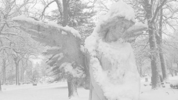 soups ﹒ social & giveaways ㆍ vc ㆍ gaming server banner