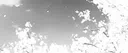 /DBP server banner