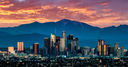 South California Banner