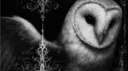 ๐๐ธ๐ผ๐ฝ banner