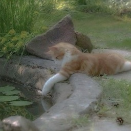 ₊˚ʚ 💫₊˚✧ ゚.interstellar cats Discord server banner