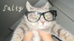 aspynguini ๐นญ.แ server banner