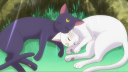 ☆ ʟᴜɴᴀʀ ɴɪɢʜᴛ ☆ server banner