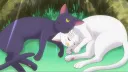 ☆ ʟᴜɴᴀʀ ɴɪɢʜᴛ ☆ Discord server banner