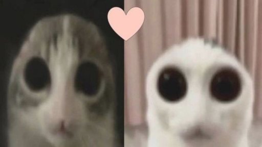 Mewtopia Discord server banner