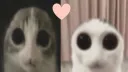 Mewtopia Discord server banner
