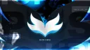 Flow banner