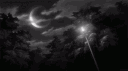 Hunters banner