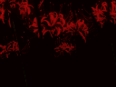 ∘ও Desires Den ও∘ banner