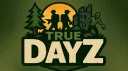 True DayZ banner