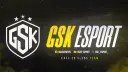 GSK ESPORT banner
