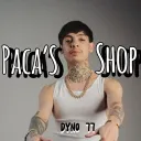 Paca´s Shop banner