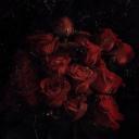 ◜◞･𝖆𝖋𝖙𝖊𝖗𝖑𝖎𝖋𝖊 ﹕ᶻz Banner