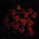 ◜✧◞･𝖆𝖋𝖙𝖊𝖗𝖑𝖎𝖋𝖊   ﹕ᶻz Discord server banner