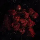 ◜✧◞・𝖆𝖋𝖙𝖊𝖗𝖑𝖎𝖋𝖊 ﹕ᶻz Discord server banner