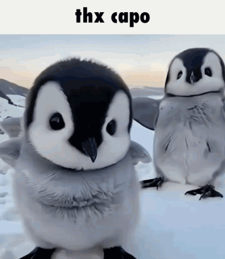 Capo Discord server banner